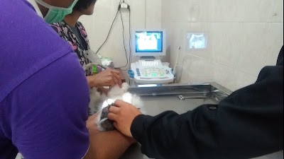 Photos of PUSKESWAN KLINIK HEWAN