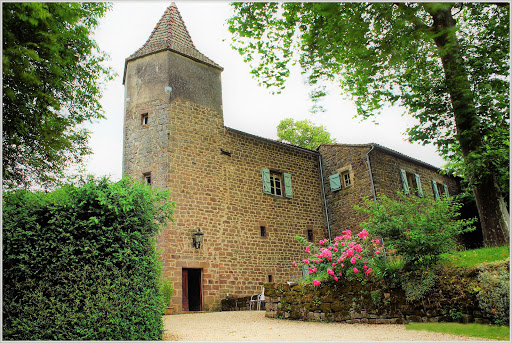 Photo de Le Clos Pastel à Monestiés (81640)