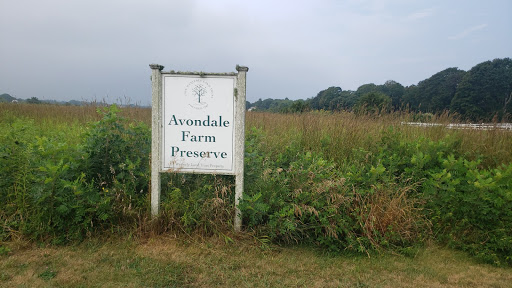 Avondale Farm Preserve - Thumbnail