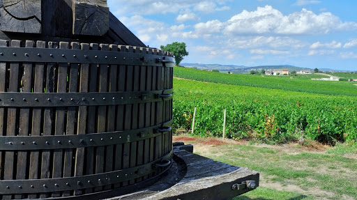 Photo de Espace des Brouilly à Saint-Lager (69220)