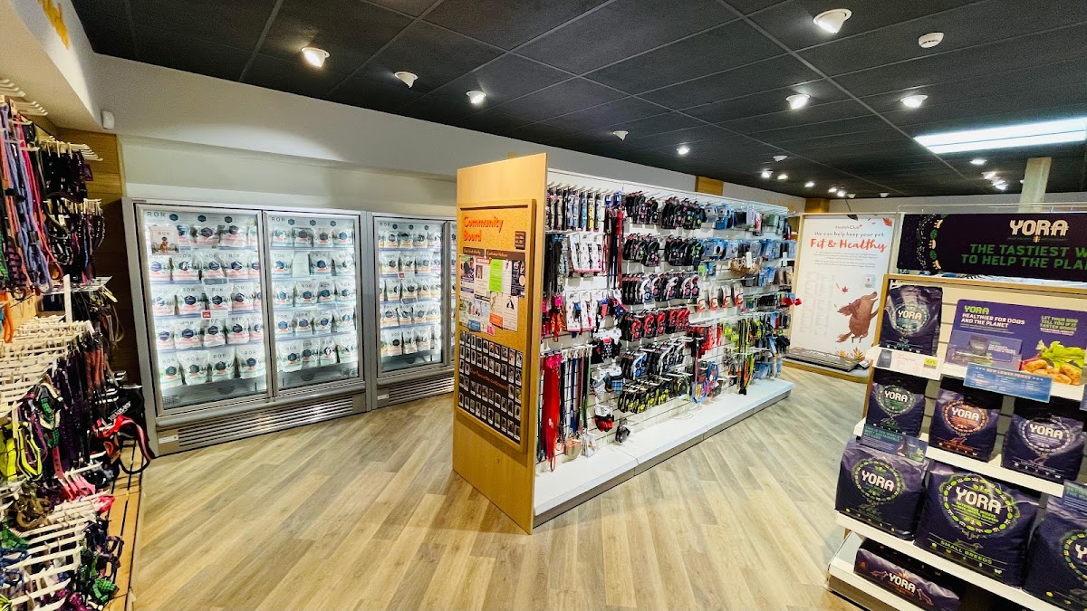 Pets Corner St Albans, Your Best Reviewed Local Pet Shop