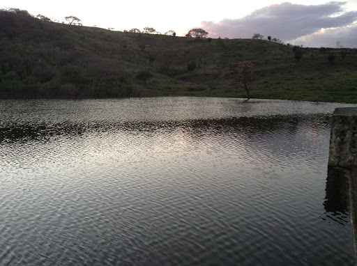Presa del Pozo