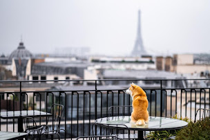 Photo n°64 de Kimpton St Honoré Paris à Paris (Hôtel)