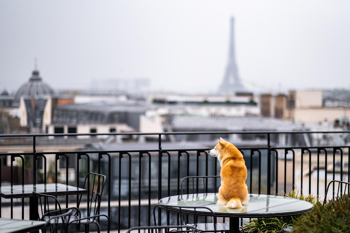 Kimpton St Honoré Paris by null