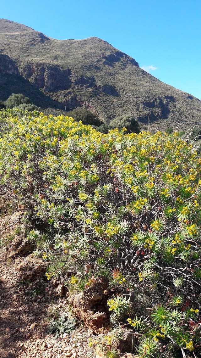 Centro Visitatori Riserva Naturale Orientata dello Zingaro