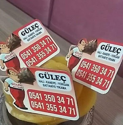 GÜLEÇ HALI YIKAMA