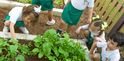 Escuela Green Village Pre-school - Thumbnail