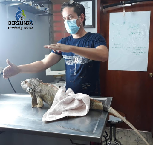 Veterinaria y Estética Berzunza