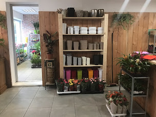 Photo n°5 de Atelier & Botanique à Moulineaux (Service de plantes d'intérieur)