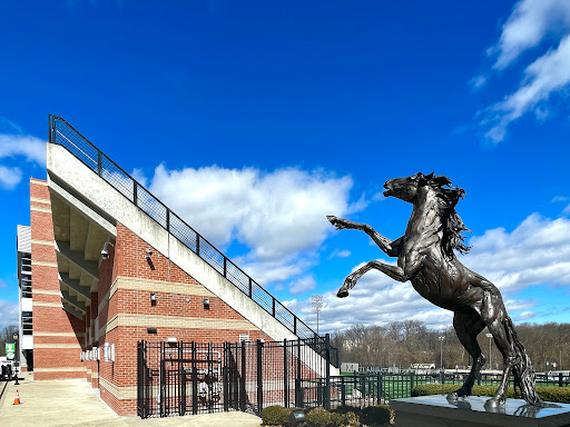 Stevenson University - Thumbnail