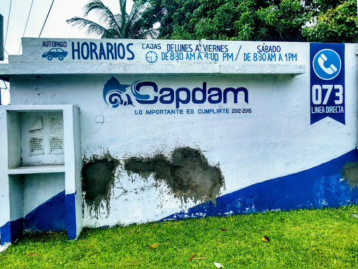 Capdam - Visual