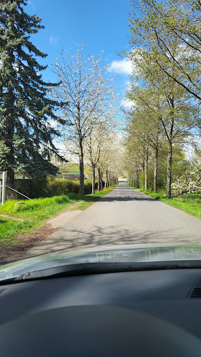 Arnstadt, Eintracht - Visual