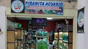 Pirañita Acuario 0