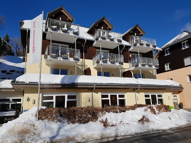 Alemannenhof Hotel-Appartements