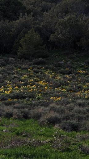 Baker Creek Trailhead Parking Lot - Thumbnail