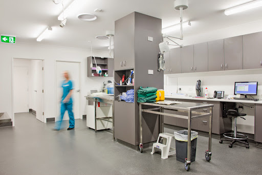 Edgeworth Animal Medical Centre - Thumbnail