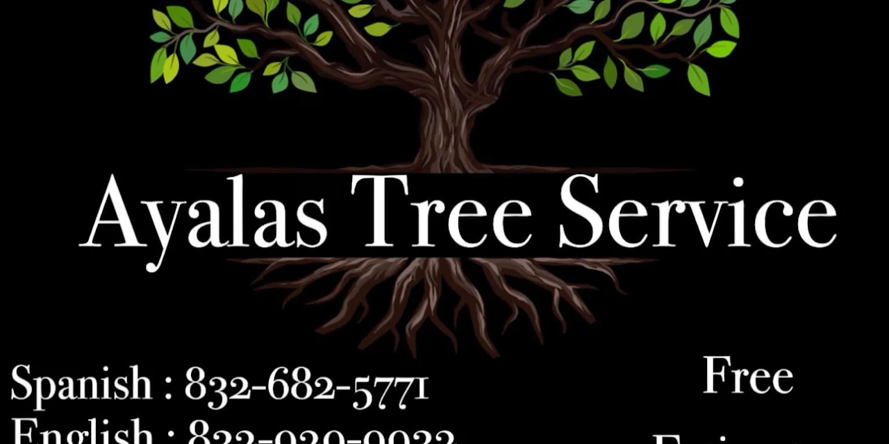 Ayalas Tree Service