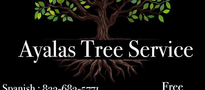 Ayalas Tree Service