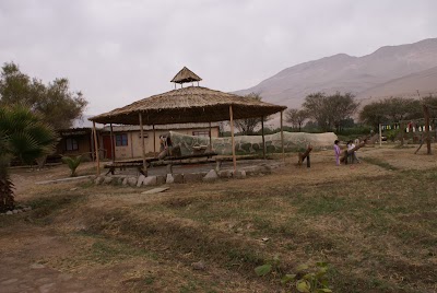 Photos of Eco Truly Arica