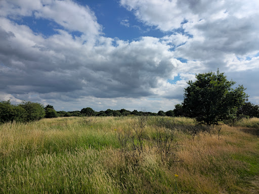 Hounslow Heath - Thumbnail