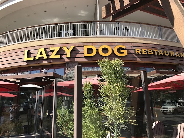 Lazy Dog Restaurant & Bar