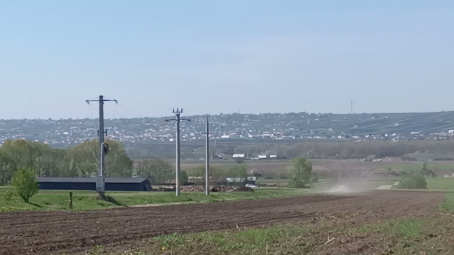 Opinii despre Școală Gimnazială Plopeni în Mereni - Școală