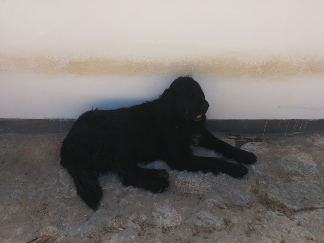 Su Trabi-Turismo Rurale in Sardegna