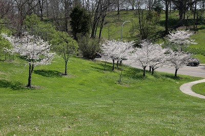 The Memorial Groves at Eden Park