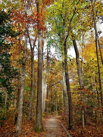 Royal Lake Park