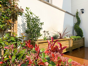 Photo n°7 de vision jardin à Chelles (Service d'élagage)