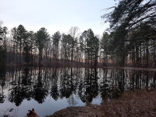 Terrill Ridge Cemetery - Thumbnail
