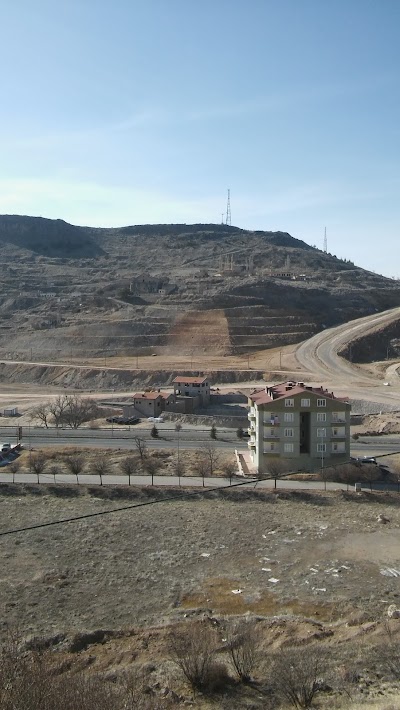 Photos of 50th Year Park