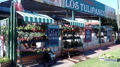 Photos of Vivero los Tulipanes