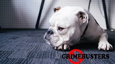 Grimebusters Carpet & Upholstery Cleaners bath