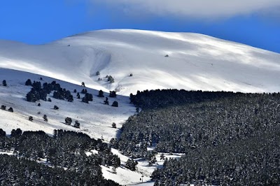 Sarıkamış