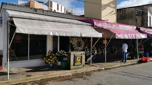 Floresse - Visual