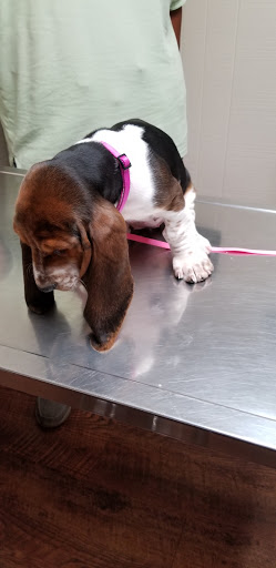 Tri-County Veterinary Services LLC