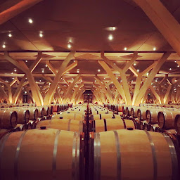 Photo n°4 de Bordeaux with Elodie - Wine Tours à Bordeaux (Agence de voyages)