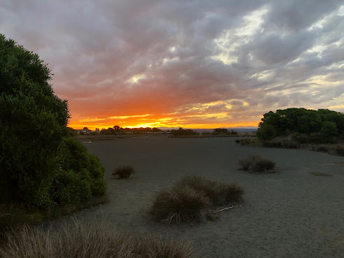 Cycle Nelson – Tahuna Beach Holiday Park by null