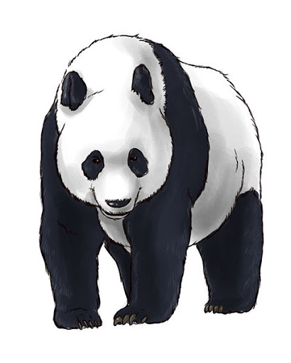 panda movers - Visual