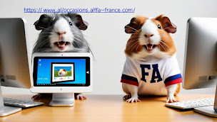 Photo n°3 de ALFA Informatique Matériel Maintenance Web Domotique/ Sur RDV à Mouans-Sartoux (Concepteur de sites Web)