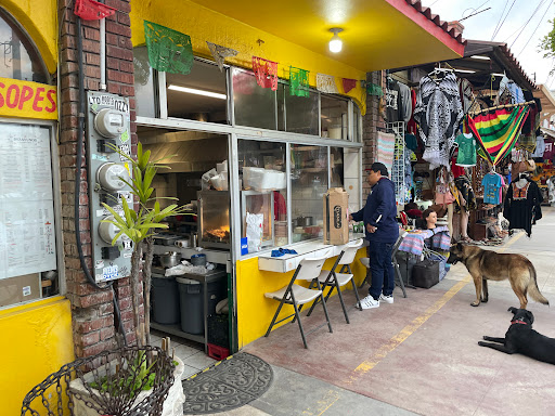 Carnitas La Flor de Michoacan