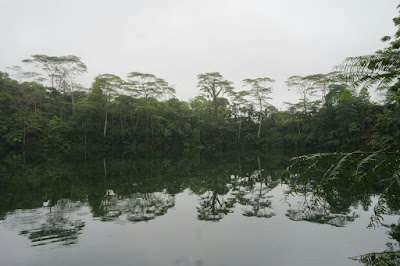 Photos of Raintree Lodge Lake