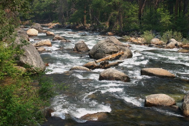 Yosemite National Park