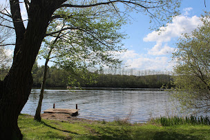 Photo n°5 de Flower Camping | Les Berges de la Dordogne à Trémolat (Piscine)