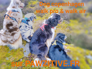 Photo n°10 de EURL Pawzitive à Chèvreville (Magasin)