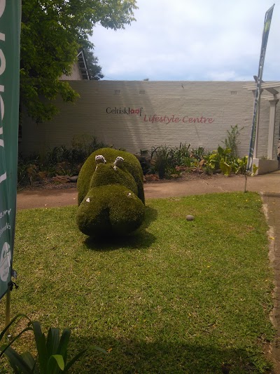 Photos of The Courtyard @ Celtiskloof