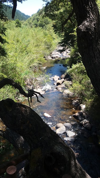 Photos of Reserva Nacional Los Ruiles