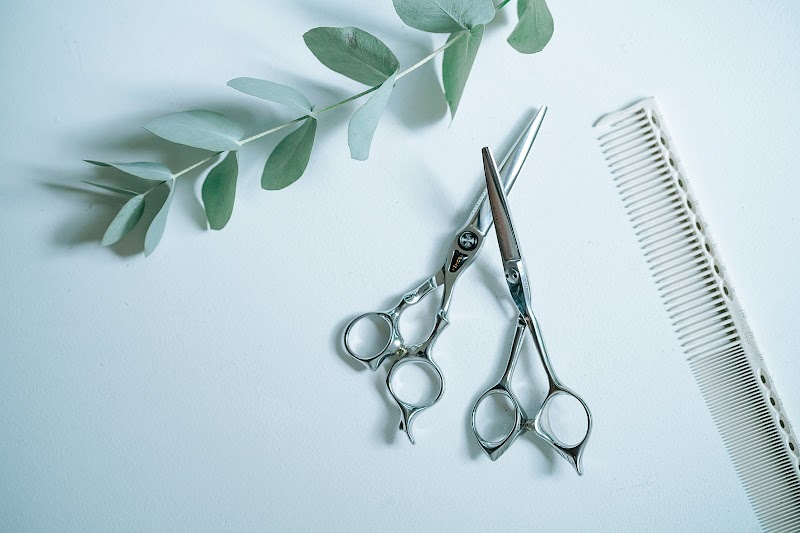 ブランシェグループ本社