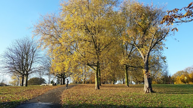 Hilly Fields Park